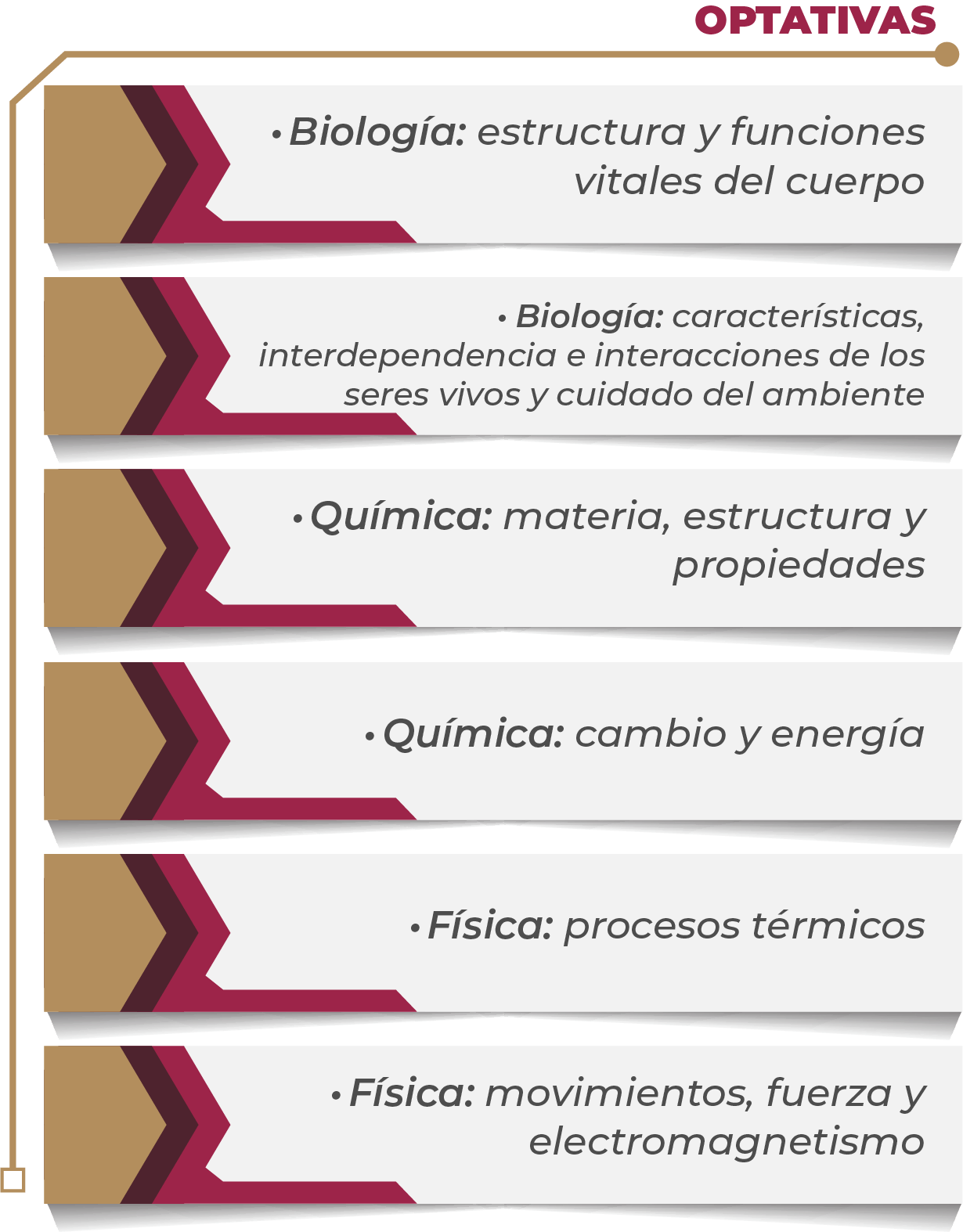 MAPA CURRICULAR GESTIÓN